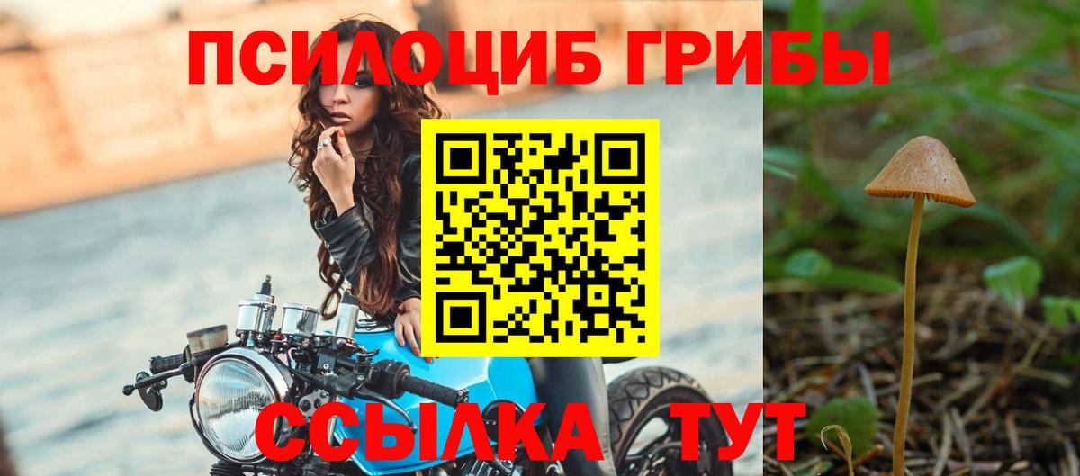 где продают   Псилоцибиновые грибы MAGIC MUSHROOMS  Вход с VPN  Усолье-Сибирское 