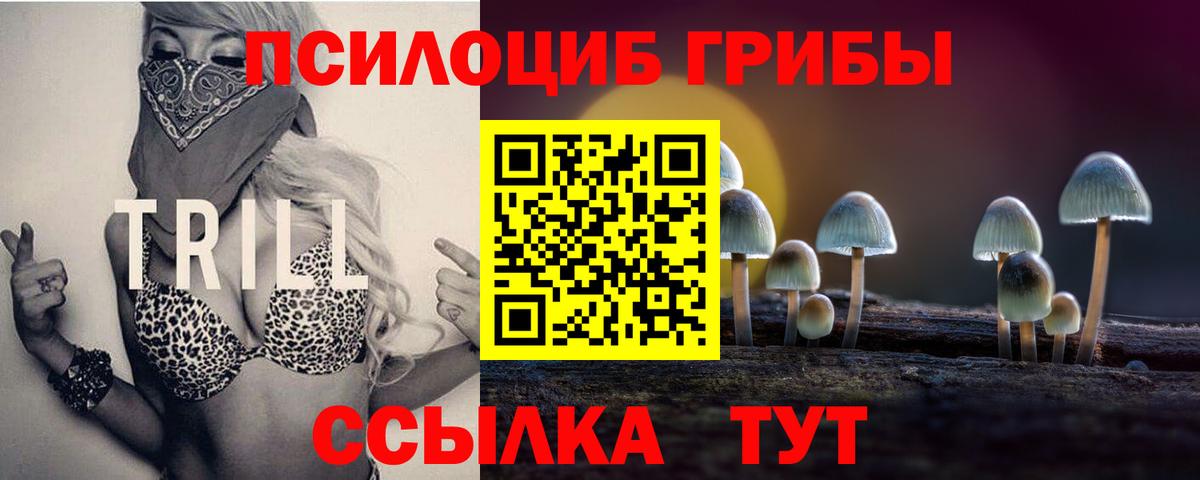 Галлюциногенные грибы прущие грибы Усолье-Сибирское